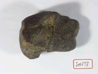 藏品(腕骨一塊)的圖片